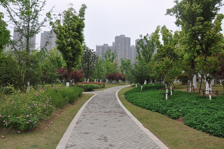 海棠公园景观绿化工程(图4)