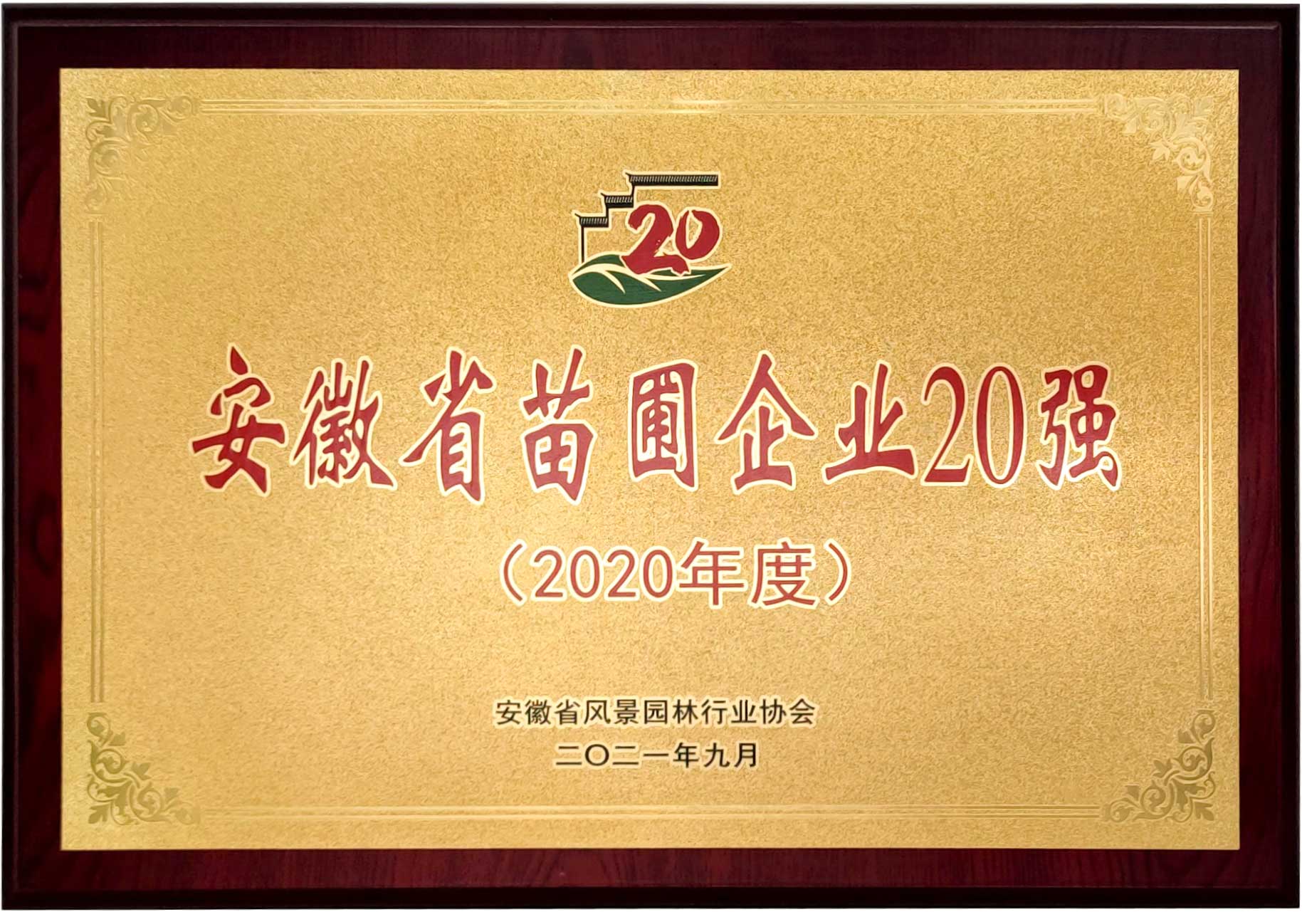 喜报！！热烈祝贺“皖建生态”荣获安徽省园林绿化企业综合50强！(图3)